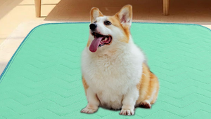 Customized Absorbent <b>Washable</b> Pee <b>Pads</b> for Dogs 100% Waterproof Dog <b>Puppy</b> Pee <b>Pads</b> - Product Image 3