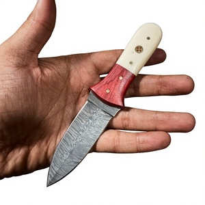 Cuchillo de Supervivencia y Caza de Acero de Damasco Forjado a Mano, Hoja Fija Mini Tipo Drop Point, Mango de Madera, Grado Industrial, para Revendedores OEM 58/60 - Product Image 2