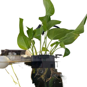 悬挂现代水生植物壶，带水族箱水杯孔耐用塑料环保客厅水景装饰 - Product Image 5