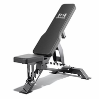 Banc de musculation multifonctionnel commercial moderne en acier pliable et réglable, série Bird Bench, pour abdominaux et entraînement fitness, modèle Roman