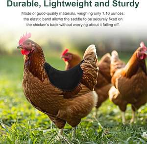 Beckon Custom Sangle de protection dorsale pour poules, protège-plumes extérieur pour volailles, accessoires - Product Image 5