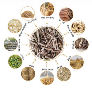 <span class=keywords><strong>Machine</strong></span> de Compression de cendres de biomasse/<span class=keywords><strong>machine</strong></span> de biomasse de sciure de bois/<span class=keywords><strong>machine</strong></span> de granulés de biomasse - Product Image 4