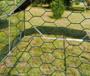 Pollaio Portatile da Giardino in Tubo Galvanizzato Struttura Calpestabile - Product Image 5