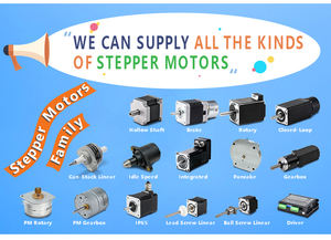 محرك خطوي PrimoPal OEM Nema16 بعزم دوران 0.30 نيوتن متر، 8.0~24.0 نيوتن سم، 39 مم، 1.8 درجة، ثنائي المرحلة، محرك خطوي هجين للاستخدامات الصناعية - Product Image 4