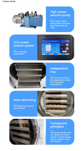 Machine de lyophilisation industrielle pour fleurs avec <span class=keywords><strong>pompe</strong></span> PLC et chauffage électrique pour la transformation alimentaire - Product Image 5