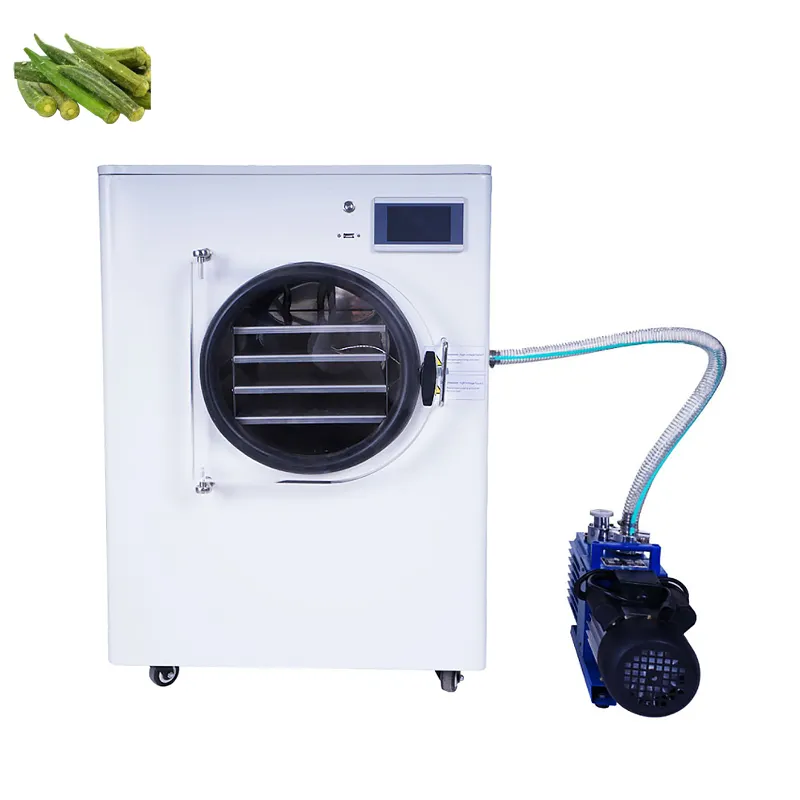 CQ freeze drying machine Small vacuum Lab Freeze Dry machine home use mini food freeze dryer machine