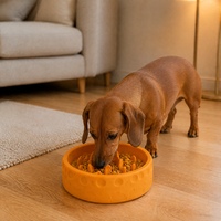 Gamelle anti-glouton avec ventouse pour chiens et chats, gamelle labyrinthe en silicone de qualité alimentaire, gamelle antidérapante pour animaux de compagnie
