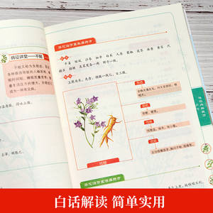 [カラーイラスト] 著名な華佗先生の処方集 伝統的な中国医学 医学書 健康 - Product Image 4