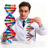 Modèle de structure de la double hélice de l'ADN, équipement médical et éducatif, jouet