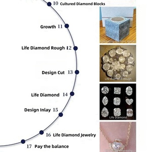 CA 0.3-0.5ct Cvd <strong>Loose</strong> <strong>Diamond</strong> <strong>Excellent</strong> Cut Memorial <strong>Diamonds</strong> for Jewelry Making Unique Commemorative Significance High Value - Product Image 4