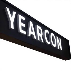 Insegne Luminose in Acrilico Lucido con Logo, Personalizzazione Gratuita di Colore e Dimensioni, Alimentatore Trasformatore per Pubblicità su Edifici - Product Image 3