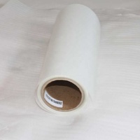 Película PET para Transferencia de Calor DTF, 30cm 60cm, Hojas de Película Imprimible DTF, Rollo de Película de Impresión Mate de una Sola Cara