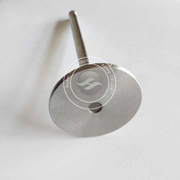6BT5.9 Natural Gas Engine Parts Intake Valve 3922713 3802658 