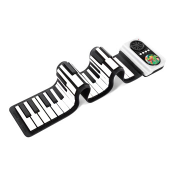 Dry cell battery, black and white key
