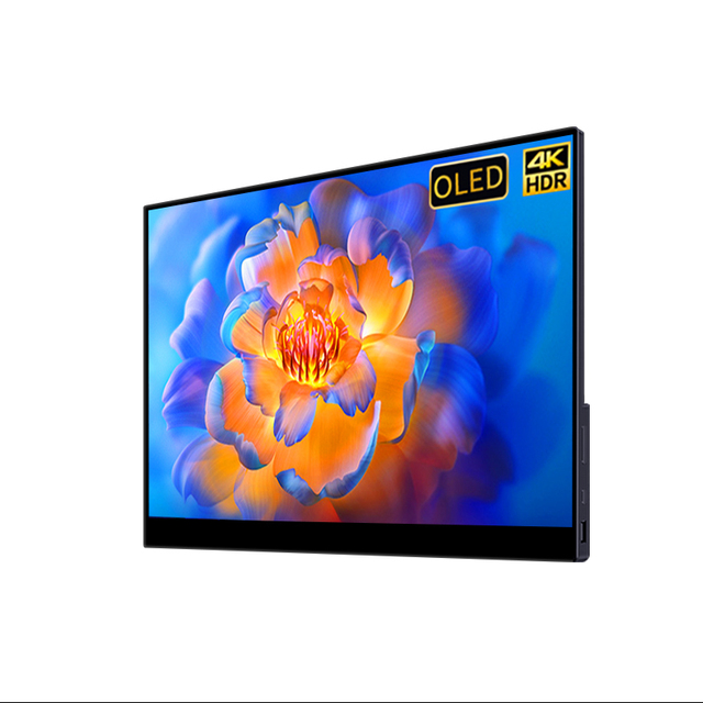 15.6 Inch 4K UHD IPS Anti-blue Light WLED Type C Expand Touch Screen Black Portable Monitor for Gaming & Office