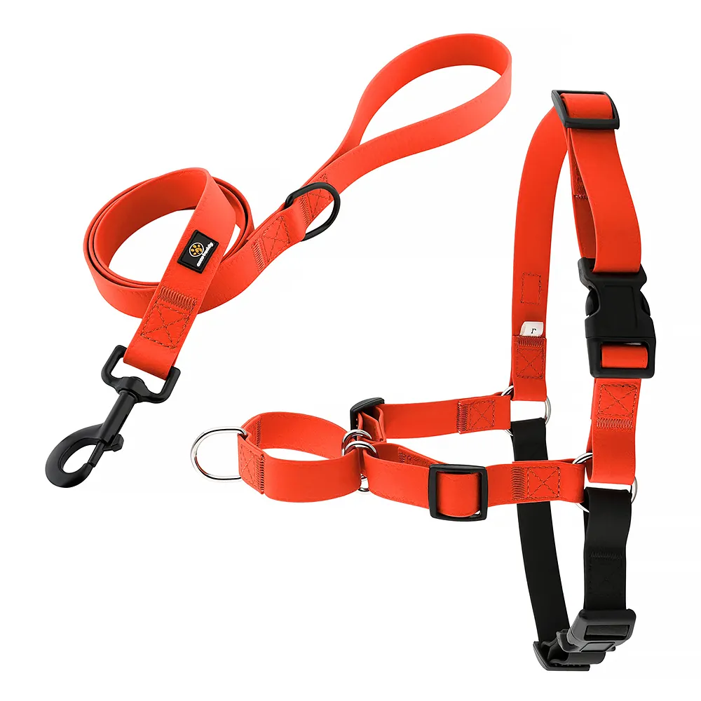 Durable PVC pet harness waterproof and deodorant pet dog Luxury harness eco friendly leather dog harness set