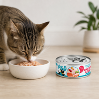 MAIDOU Nourriture humide pour chats sans céréales, saveur poulet, riches en protéines, en sachets - Pour la santé de la peau, des articulations et de l'appareil digestif
