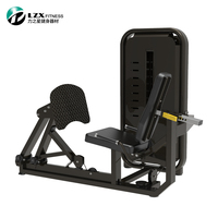 Máquina de prensa de piernas horizontal de acero LZX-H1003 de gran aceptación con pila de pesas de 70 kg para gimnasio comercial