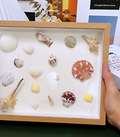 Cadre d'art en coquillages lumineux haut de gamme, en forme de croissant de lune, en résine LED avec coquillages véritables, boîte profonde, veilleuse pour cadeau et décoration côtière, vente en gros