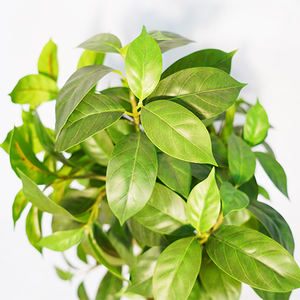 Árbol <span class=keywords><strong>de</strong></span> Lila Artificial <span class=keywords><strong>de</strong></span> Plástico Realista, Suministro Directo <span class=keywords><strong>de</strong></span> Fábrica en China, 50 cm en Maceta, Decoración para Interiores y Exteriores - Product Image 2