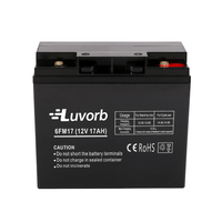 Batterie au plomb à décharge profonde Luvorb 12V 17Ah scellée AGM 10Hr pour outils électriques et jouets, prix usine, batterie GEL AGM 10Hr UPS