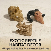 Matériel d'escalade pour animaux de compagnie Boîte d'élevage Matériau ABS Réutilisable Écologique Design Moderne Aménagement Paysager Crâne Rhinocéros Araignée