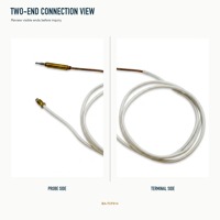 Sonde de thermocouple en cuivre haute température Boan pour chauffe-eau au gaz naturel - Installation facile, usage commercial et pour VR