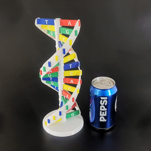 Modelo de Doble Hélice de ADN <span class=keywords><strong>para</strong></span> Armar, Juguete Educativo con Bases Genéticas de Colores, <span class=keywords><strong>para</strong></span> Demostraciones <span class=keywords><strong>en</strong></span> Clases de Biología y Ciencias - Product Image 3