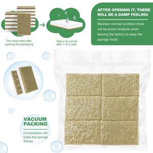 Eco Friendly Coconut Cellulose Natural Kitchen Washing Sponge <b>Biodegradable</b> Lightweight Foaming Dishwashing Cleaning Sponge - Product Image 2