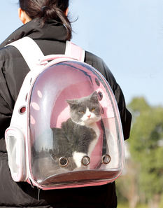 Qbellpet Nouvelle Arrivée Space Capsule Compagnie Aérienne <span class=keywords><strong>De</strong></span> Luxe Approuvé Pet Carrier Chien Chat Voyage Sac À Dos À L'extérieur Portable Transparent - Product Image 4