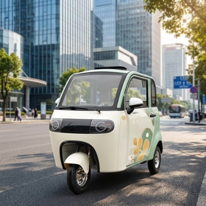 Triciclo Eléctrico Totalmente Cerrado <span class=keywords><strong>para</strong></span> Uso Doméstico, Scooter de Movilidad Pequeño <span class=keywords><strong>para</strong></span> Mujeres, Cámara de Reversa, Motor de Subida, Gran Espacio - Product Image 1