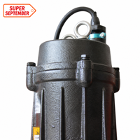 Pompe à eaux usées submersible anti-colmatage, corps en fonte, système de découpe résistant à l'usure, certifiée CE, personnalisable