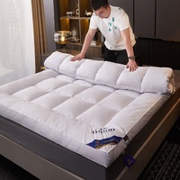 Livraison rapide Matelas d'hôtel rose et blanc Queen 150*200cm Microfibre Voyage Portable Matelas pliable