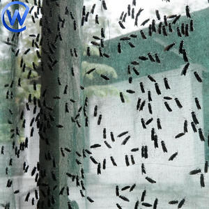 Filet <span class=keywords><strong>de</strong></span> ferme pour l'élevage des mouches soldats noires - Product Image 5