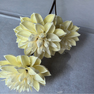 Flores Secas Hechas a Mano, Lantana <span class=keywords><strong>Camara</strong></span>, Decoración Rústica para Habitaciones, Cabeza de Flor Grande de 10 cm de Diámetro - Product Image 6