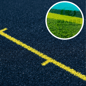 Tapis d'entraînement d'agilité athlétique haut de gamme personnalisé avec emblème scolaire, marquages de codes sur piste de luge et gazon synthétique, conçu pour les centres de fitness universitaires - Product Image 3