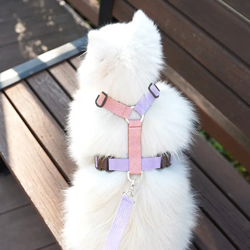 Nuovo in stile forniture per animali domestici piccolo cane che cammina guinzaglio cane simpatico colore solido imbracatura guinzaglio cane