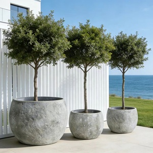 Pot de fleurs en ciment simple de style nordique, rond, <span class=keywords><strong>pour</strong></span> intérieur et extérieur, écologique, <span class=keywords><strong>pour</strong></span> villa, terrasse, jardin et hôtel - Product Image 2