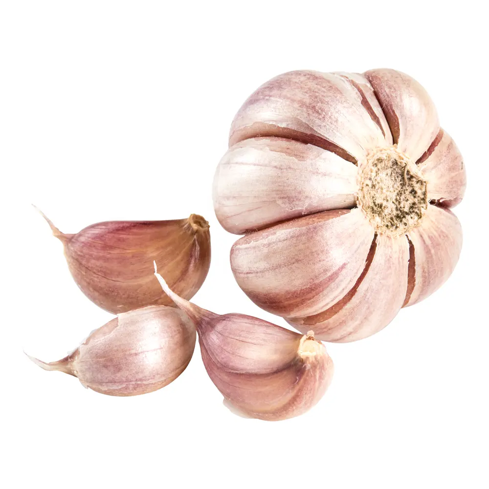 brand 2021 new crop Chinese imported garlic fresh red normal purple pure ajo alho garlics white price of garlic