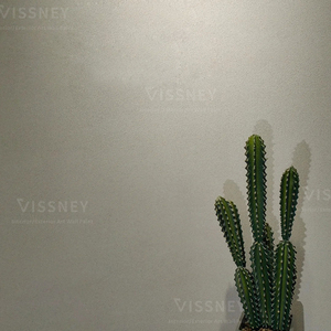 Micro-ciment Vissney en marque propre, revêtement liquide écologique à base d'acrylique pour la décoration intérieure - Production en série en usine - Product Image 2