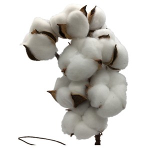 K-1040 Fiori di Cotone Artificiali Essiccati di Varie Dimensioni per Decorazione Casa, Vendita Calda - Product Image 3
