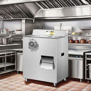 Commercial Home Máquina De Corte De Carne De Aço Inoxidável Moedor De Carne Automático para Frango Peixes Gado Ovelha 220V Motor Novo 1 Ano - Product Image 3