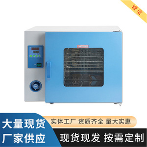 Horno de Secado al Vacío con Pantalla Digital Tipo 101, Equipo de Laboratorio con Control de Temperatura para Uso Científico - Product Image 3