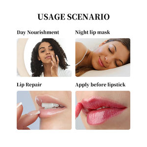 Venta caliente aceite de coco natural sabor vegano redondo brillo de labios aceite nutritivo de larga duración hidratar bola bálsamo labial Etiqueta Privada - Product Image 4