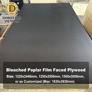 Contreplaqué filmé en peuplier blanchi 18 mm 4x8 pieds, plaque de contreplaqué WBP pour coffrage en béton - Product Image 2