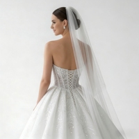Nouvelles Robes de Mariée 2026 Style Luxe en Dentelle Perlée et Pailletée, Bustier avec Traîne Longue Amovible