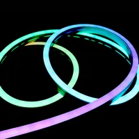 Benutzer definierte Silikon Flexible Strip Led Seil 12 V24V RGB Dekoration Wasserdichte Smart APP gesteuerte Neonlichter