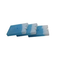 15x10x2cm, 200g, petit refroidisseur de déjeuner réutilisable, brique de glace, boîte à glace pour enfants