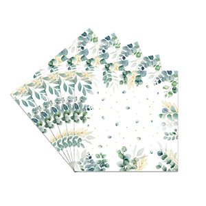 Ensemble de vaisselle jetable Sage Party : assiettes, gobelets, serviettes, nappe – Style élégant pour l'organisation de fêtes d'anniversaire et accessoires de décoration de lieux - Product Image 3