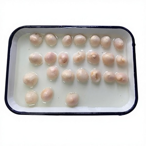 Buah leci kaleng dalam sirup 567g/800g/2840g